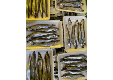 Cá Trứng Na Uy
