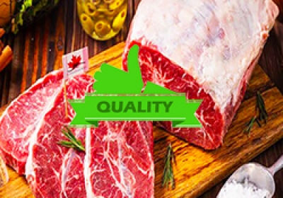 5 Tiêu Chí Chọn Đơn Vị Cung Cấp Thực Phẩm Đông Lạnh Uy Tín