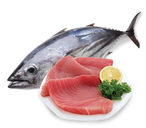 Cá ngừ nhập khẩu